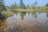 Property for sale in Alpena County, Michigan