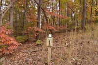 Undeveloped Land for sale in Union County, Georgia