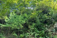 Property for sale in Clay County, North Carolina