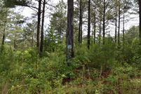 Property for sale in Union County, Georgia
