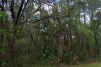 Undeveloped Land for sale in Citrus County, Florida