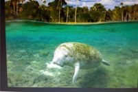 Property for sale in Citrus County, Florida