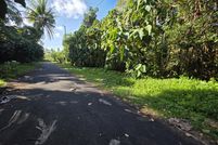 Undeveloped Land for sale in Hawaii County, Hawaii