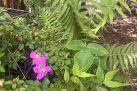 Property for sale in Hawaii County, Hawaii