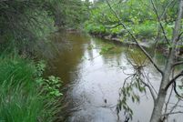 Undeveloped Land for sale in Cheboygan County, Michigan