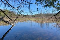 Undeveloped Land for sale in Cheboygan County, Michigan