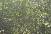 Property for sale in Russell County, Alabama