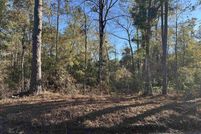 Undeveloped Land for sale in Wakulla County, Florida