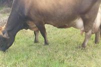 Property for sale in Hawaii County, Hawaii