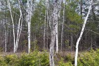 Property for sale in Presque Isle County, Michigan