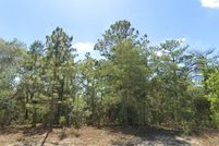Undeveloped Land for sale in Citrus County, Florida