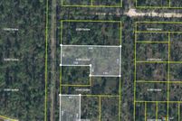 Undeveloped Land for sale in Calhoun County, Florida