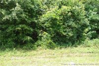 Undeveloped Land for sale in Robeson County, North Carolina