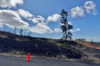 Undeveloped Land for sale in Hawaii County, Hawaii