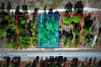 Undeveloped Land for sale in Citrus County, Florida