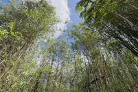 Property for sale in Hawaii County, Hawaii