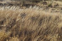 Property for sale in Grant County, New Mexico