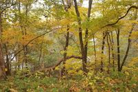 Property for sale in Madison County, Iowa