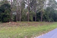 Undeveloped Land for sale in Citrus County, Florida