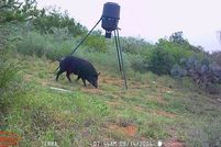 Property for sale in Duval County, Texas