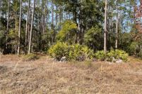 Undeveloped Land for sale in Marion County, Florida