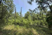 Property for sale in Leon County, Florida