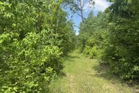Undeveloped Land for sale in Alcona County, Michigan