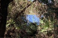 Property for sale in Putnam County, Florida