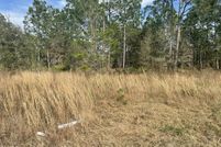 Undeveloped Land for sale in Hernando County, Florida