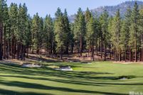 Undeveloped Land for sale in Douglas County, Nevada