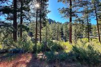 Undeveloped Land for sale in Douglas County, Nevada