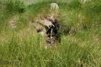 Property for sale in Madison County, Montana