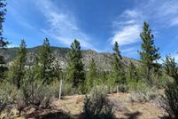 Undeveloped Land for sale in Douglas County, Nevada