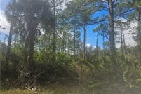 Undeveloped Land for sale in Lee County, Florida