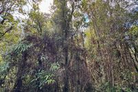 Property for sale in Hawaii County, Hawaii