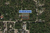 Undeveloped Land for sale in Citrus County, Florida