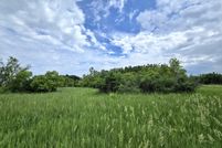 Undeveloped Land for sale in Presque Isle County, Michigan