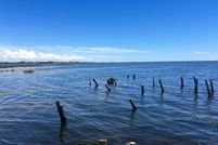 Waterfront Property for sale in Taylor County, Florida