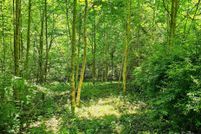 Undeveloped Land for sale in Yancey County, North Carolina