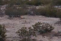 Property for sale in Hudspeth County, Texas