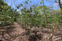 Property for sale in Hawaii County, Hawaii