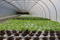 Property for sale in Jackson County, Florida