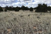 Undeveloped Land for sale in Cibola County, New Mexico