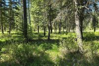Undeveloped Land for sale in Mineral County, Montana