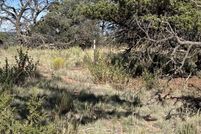 Property for sale in Catron County, New Mexico