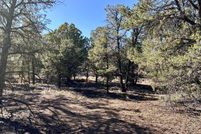 Property for sale in Catron County, New Mexico