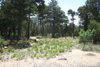 Property for sale in Bernalillo County, New Mexico