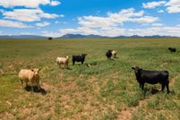 Farm Property for sale in Santa Fe County, New Mexico