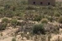 Property for sale in Socorro County, New Mexico