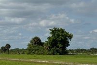 Property for sale in Glades County, Florida